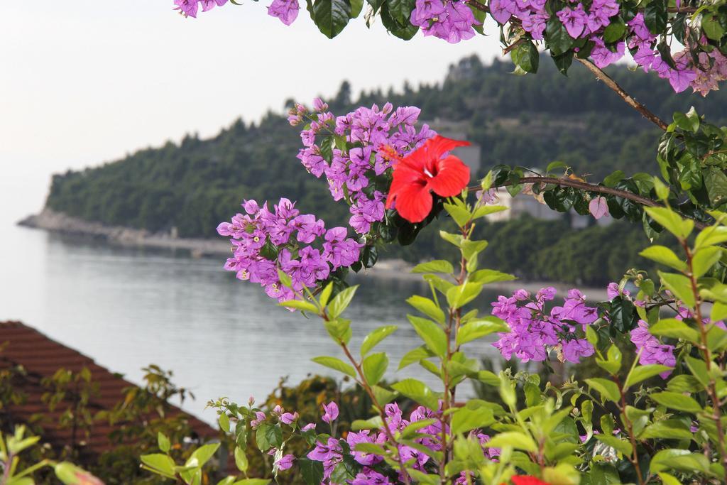 Villa Nora 투체피 외부 사진